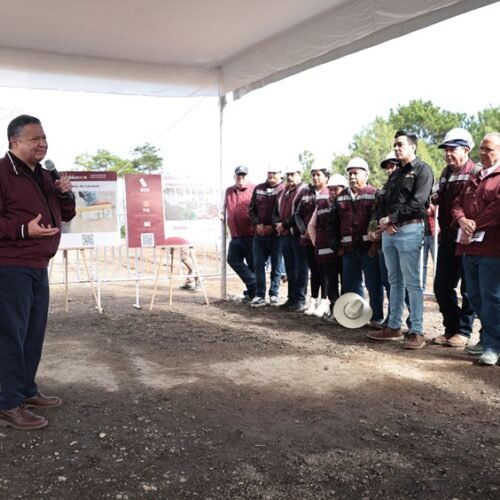 Reforestación: tema de la agenda estatal impulsado por Julio Menchaca